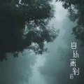 宋右 - 自从离别后