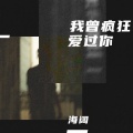 海阔 - 我曾疯狂爱过你