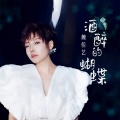 魏佳艺 - 酒醉的蝴蝶