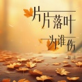 赵洋 - 片片落叶为谁伤
