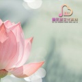 杨佳琳 - 梅花三弄补肾益肾