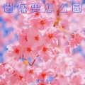 遗憾要怎么圆
