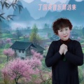 丁国英 - 今夜的雨是谁的眼泪