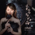 蔷薇团长 - 还要经历多少风雨