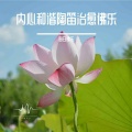 禅意生活 (陶笛催眠)