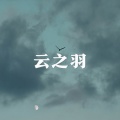 王一只 - 云之羽 (主题曲女版)