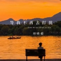 刘晓超 - 等我不再去打扰