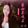 流浪娇 - 爱如果还在