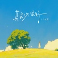 大可 - 其实你很好