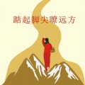 张玉宏 - 踮起脚尖瞭远方