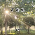 万萨 - 万物生
