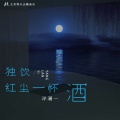 洋澜一 - 独饮红尘一杯酒