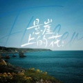 善宇 - 悬崖上的花