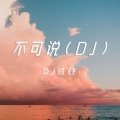 DJ铁柱Remix - 不可说