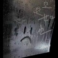 萝卜不迷路 - 空空如也