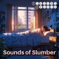 Digital Drifts、Sleepy Fish、Dreamy Tapes - Slumbering Symphony