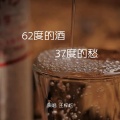 王梓屹 - 62度的酒37度的愁