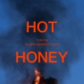 Tiësto、Alana Springsteen - Hot Honey