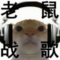老鼠战歌 - 广西大师