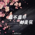 洛伊Kloe - 盛不盛开都是花