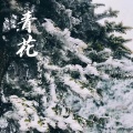 青花 (遗憾无法说)(说唱版)