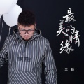 王韵 - 最美的情缘