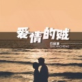 石金城 - 爱情的贼
