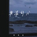 何欢浪 - 潮湿的心