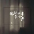 孙茹雪 - 痴情换来多少泪