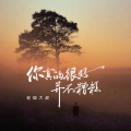 轻烟大叔 - 你真的很好并不糟糕