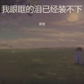 贰叁 - 我眼眶的泪已经装不下