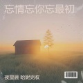 夜星晨、哈妮克收 - 忘情忘你忘最初 (DJ默涵合唱版)