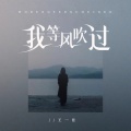 王一佳 - 我等风吹过