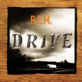 R.E.M. - Winged Mammal Theme