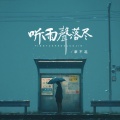 听雨声落尽