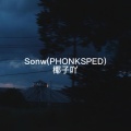 椰子 - Sonw