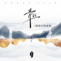 青丝 (烟波江畔渔船) (DJ版)