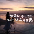 王娜 - 如果知道结局是分离