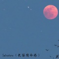 Salvatore (长笛宿命感)