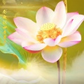 赖鸿根 - 南无观世音菩萨 (救苦救难)