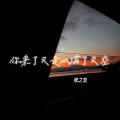 张之念 - 你来了又走心满了又空