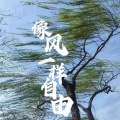 宋右 - 像风一样自由