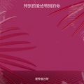 特别的爱给特别的你