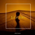 $.T.R.B.Y (DeepHouse)