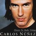 Carlos Núñez & J.M. Cañizares, Carles Benavent, Dónal Lunny - Jigs and Bulls