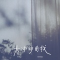 阿电 - 太冲动的我