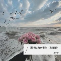 王小宁 - 漂洋过海来看你