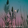 死神ED (氛围感纯音乐)