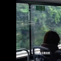 我总是喜欢拍照 (雷军语录)