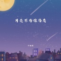 卡迪哥 - 月亮不为谁伤悲